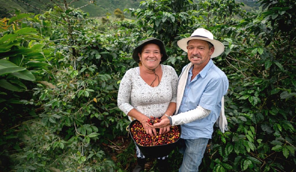 Trabajos en finca para parejas
