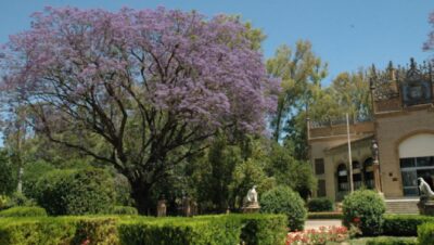 Trabajos para cuidar finca con experiencia