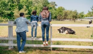 Trabajos para familias para cuidar finca